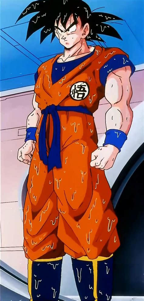 dragon ball wiki